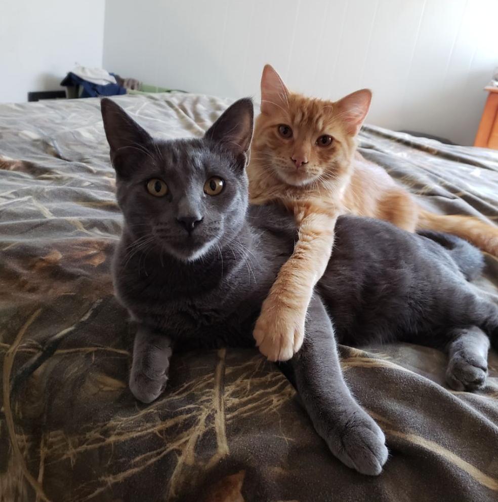 Bubba & Beau